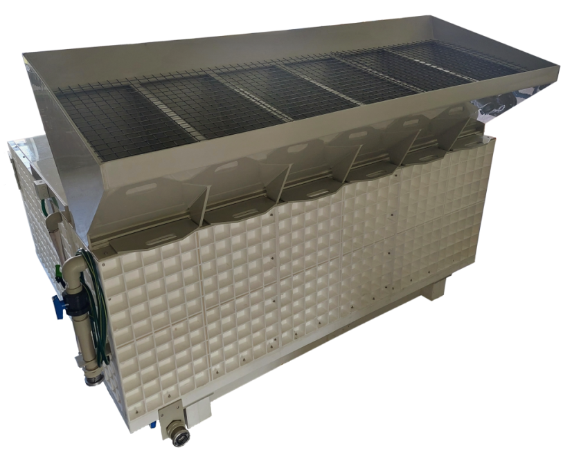 MSK-5