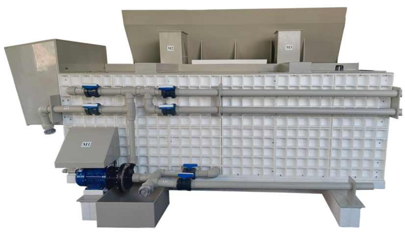 MSK-5